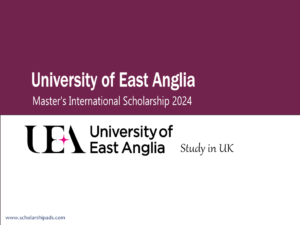 university of east anglia scholarship 2025