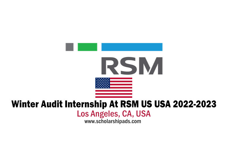 Winter Audit Internship At RSM US USA 20222023