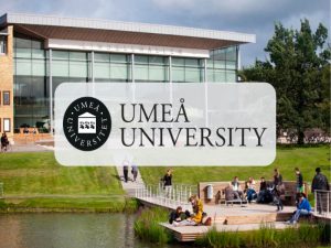 phd in umea university